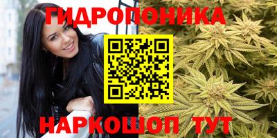 стафф Мариинск