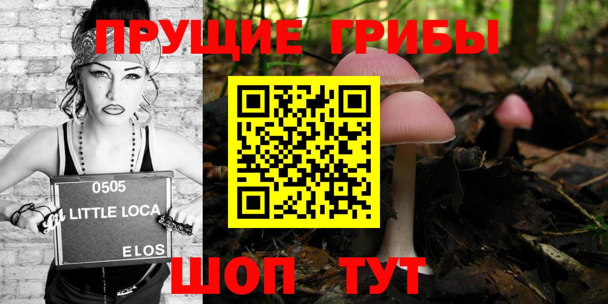 Псилоцибиновые грибы Psilocybe  Вход с VPN  Галлюциногенные грибы прущие грибы  Великий Устюг 
